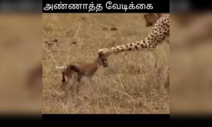 நெஞ்சுக்குள் அச்சம் இல்லை !!