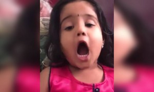 டூ டூ மாங்கா !