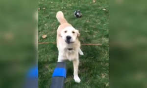 அடேய் !! என்னடா பண்ற !!