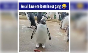 யார் அவன் !