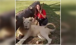 வேதிகா ! !