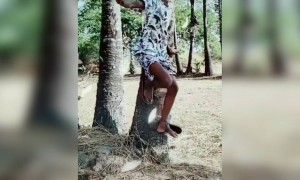 ஐயோ ! போச்சே ! !