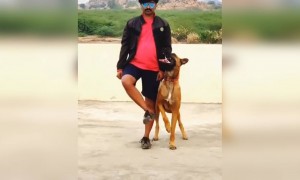 என்ன அப்டியே செய்யுது !!!