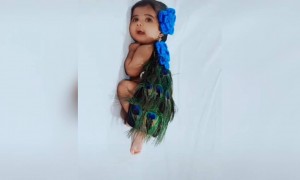 யார் இந்த முயல் குட்டி !!