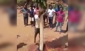 எதுக்கு தாத்தா பில்டப் !!