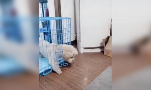 ஒரே விளையாட்டு !!