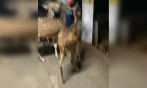 கண்ணோடு !கண்ணோடு !