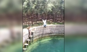 இது தான் உண்மையான சந்தோஷம்️️️ !!