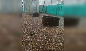 ஆலங்கட்டி மழை !!