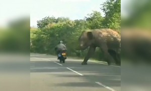 ஓடிட்டேன்ல !!!