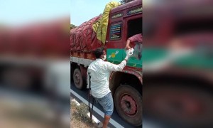 மனிதநேயம் ️️️