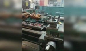 அறிவாளி அப்பு !!