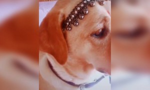 திரும்பி பார்த்து !!