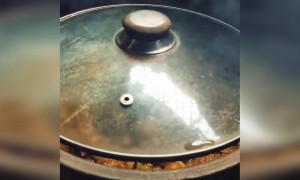 எப்போ இப்படி சாப்டா போறோமோ !!!