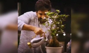 பாதி ஜீவன் கொண்டு !!