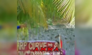 கண்ணீரே கூடாது என்னும் என் பிள்ளை வாடாதென்னும் சொல்வாயே !