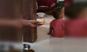 இப்புடி ஏமாத்துறாங்களே !!