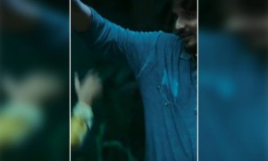 காத்தெல்லாம் பூமணக்க !!