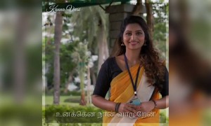 கண்ணை வீசி !!