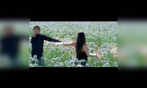 எகிறி குதித்தேன் வானம் இடித்தது!