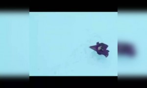 வான் வருவான் !!