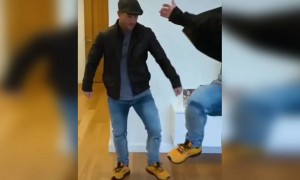 நம்ம வார்னர் தான் !!