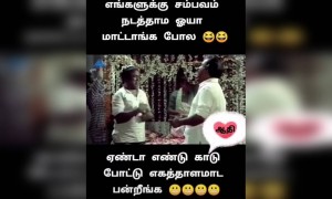 கோவிந்தா தான் !!