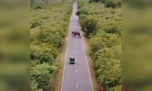 இதான் வேதா !!