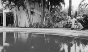 ஆக்சன் கிங் !!