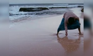 பற பற பறவை ஒன்று !!