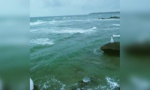 நீ ! அங்கே ! எங்கோ !!