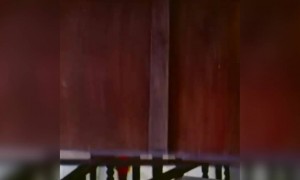 மின்சாரக்கண்ணா !!