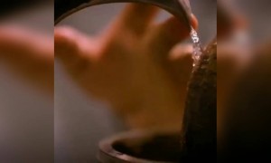 பாதி ஜீவன் கொண்டு !