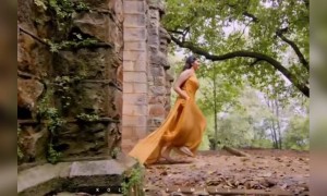 யாயும் ஞாயும்