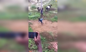 யாருகிட்ட என்கிட்டயே வா...