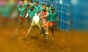 தில்லு இருந்த ஒத்தைக்கு ஒத்த வாங்க டா....