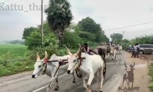 யார்ரா யார்ரா இவன் ஊர கேட்டா தெரியும்....