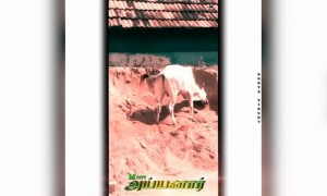 உன்ன வச்சி செய்ய்யப்போறான்....