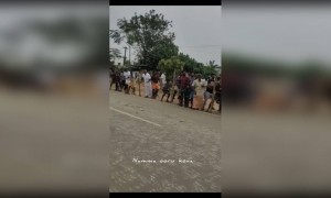 சீறி பாயும் காளைகள்....