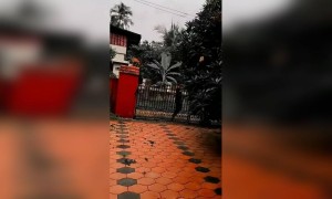 முட்டாள்கள் தினம் | April fool 2021