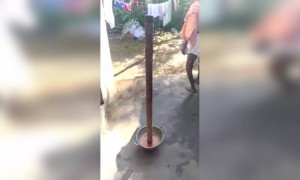 சூரிய கிரகணம் 2021 - அதிசய நிகழ்வு