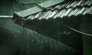 மழை , மியூசிக் , மகிழ்ச்சி | WorldMusicDay2021