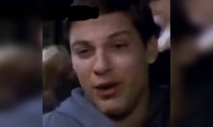 டோபி ரசிகர்கள்