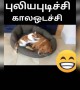 என்ன ஒரு சோதனை !